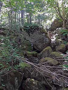 Williams Lake Backlands